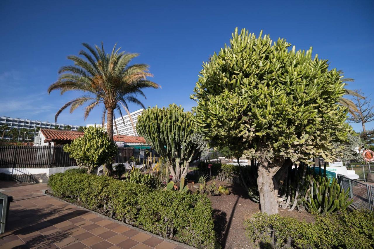 San Bartolomé Sunset Bungalow מראה חיצוני תמונה